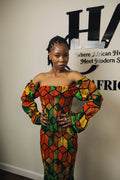 Fiah sexy multiclor bodyhug gown